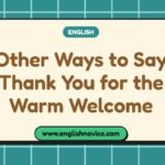 Other Ways to Say Thank You for the Warm Welcome